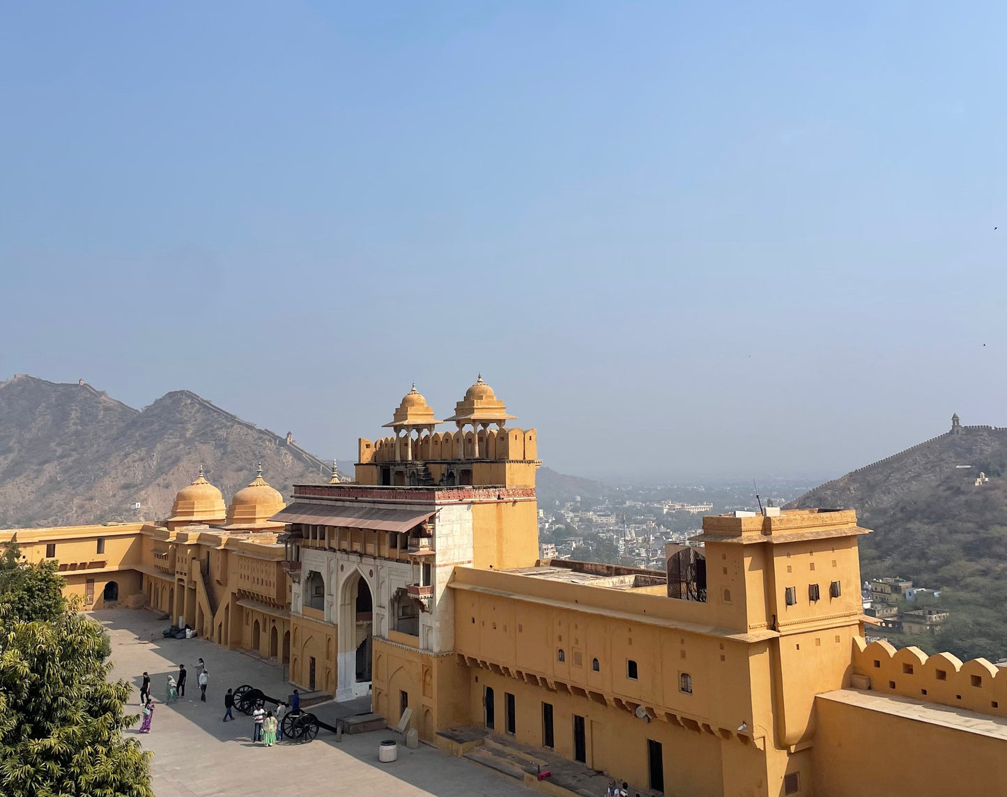 A Journey to India: Shooting Desert Flower