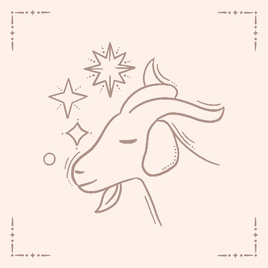 Capricorn Pouch Card