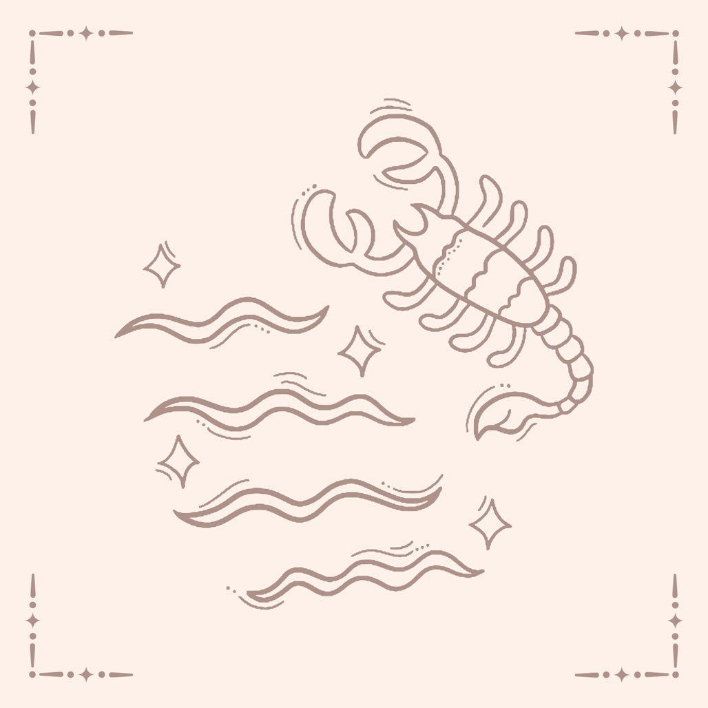 Scorpio Necklace pouch card