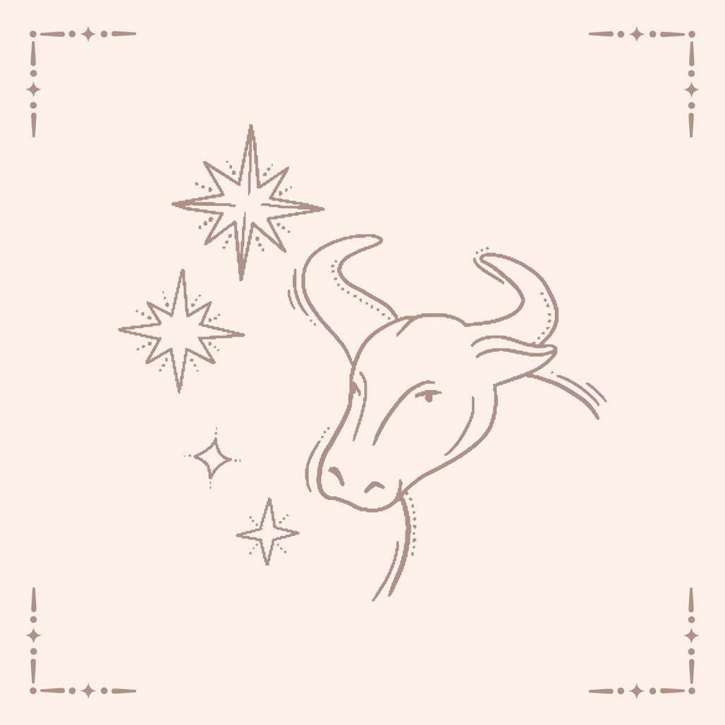Taurus necklace pouch card