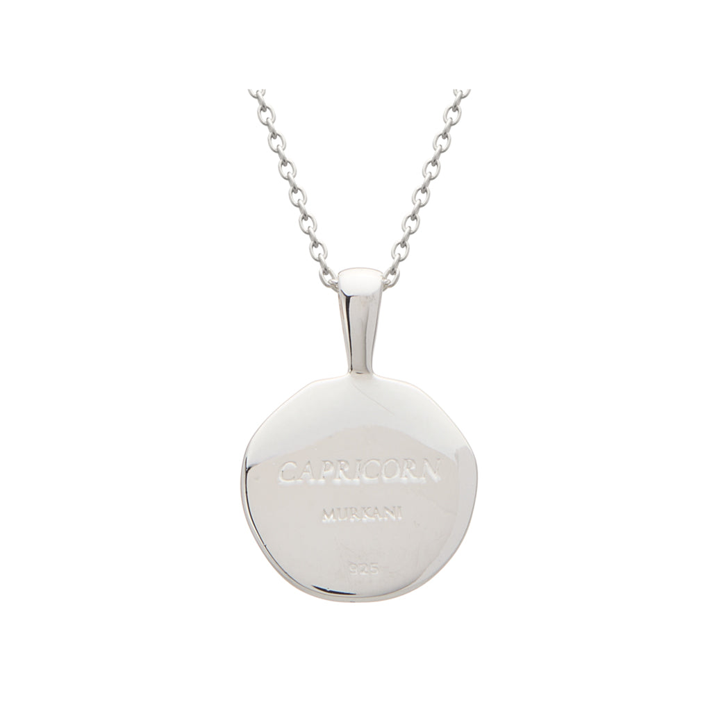 Capricorn Necklace back
