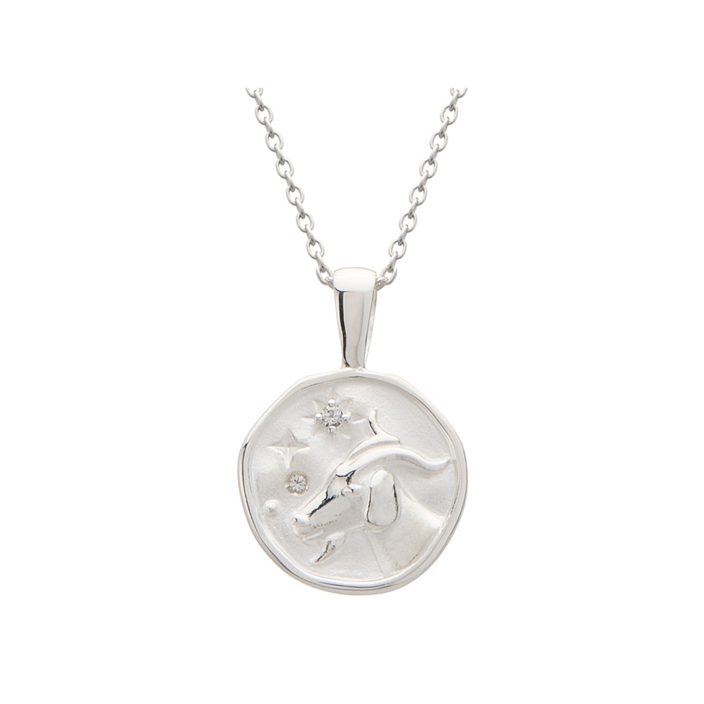 Capricorn Necklace