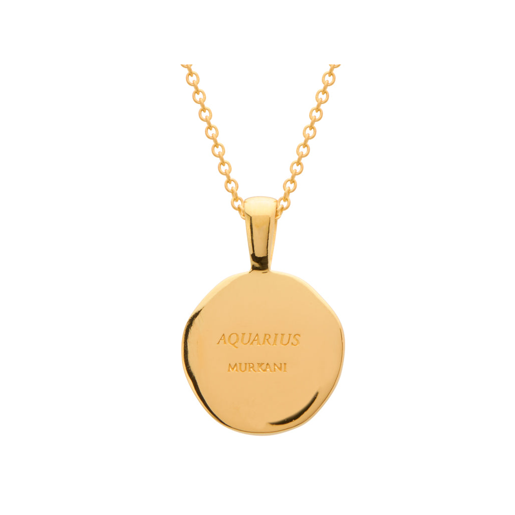 Aquarius necklace
back