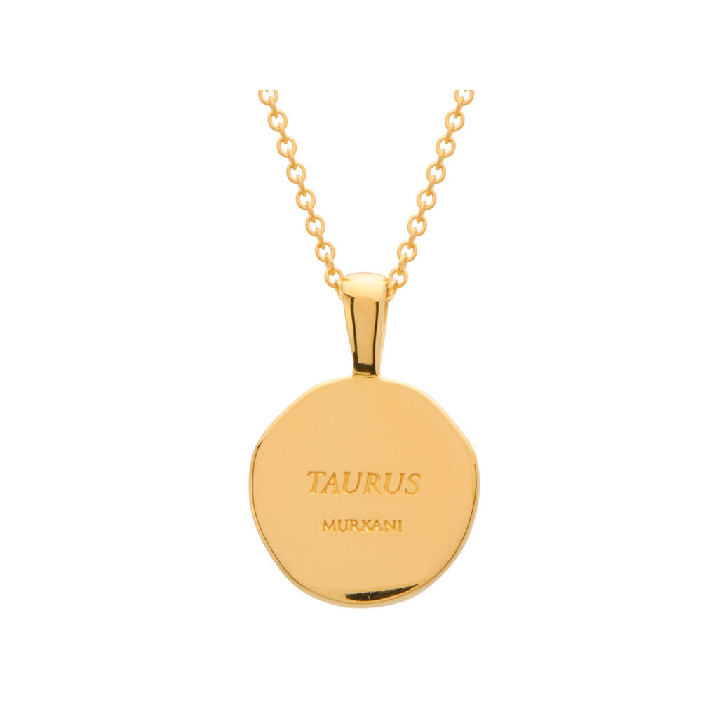 Taurus necklace back