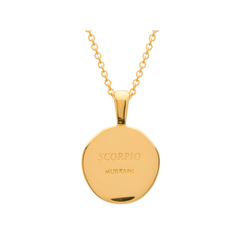 Scorpio Necklace back