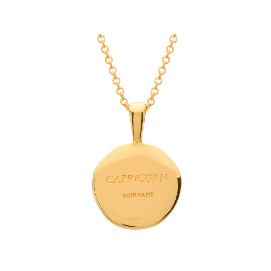 Capricorn Necklace Back