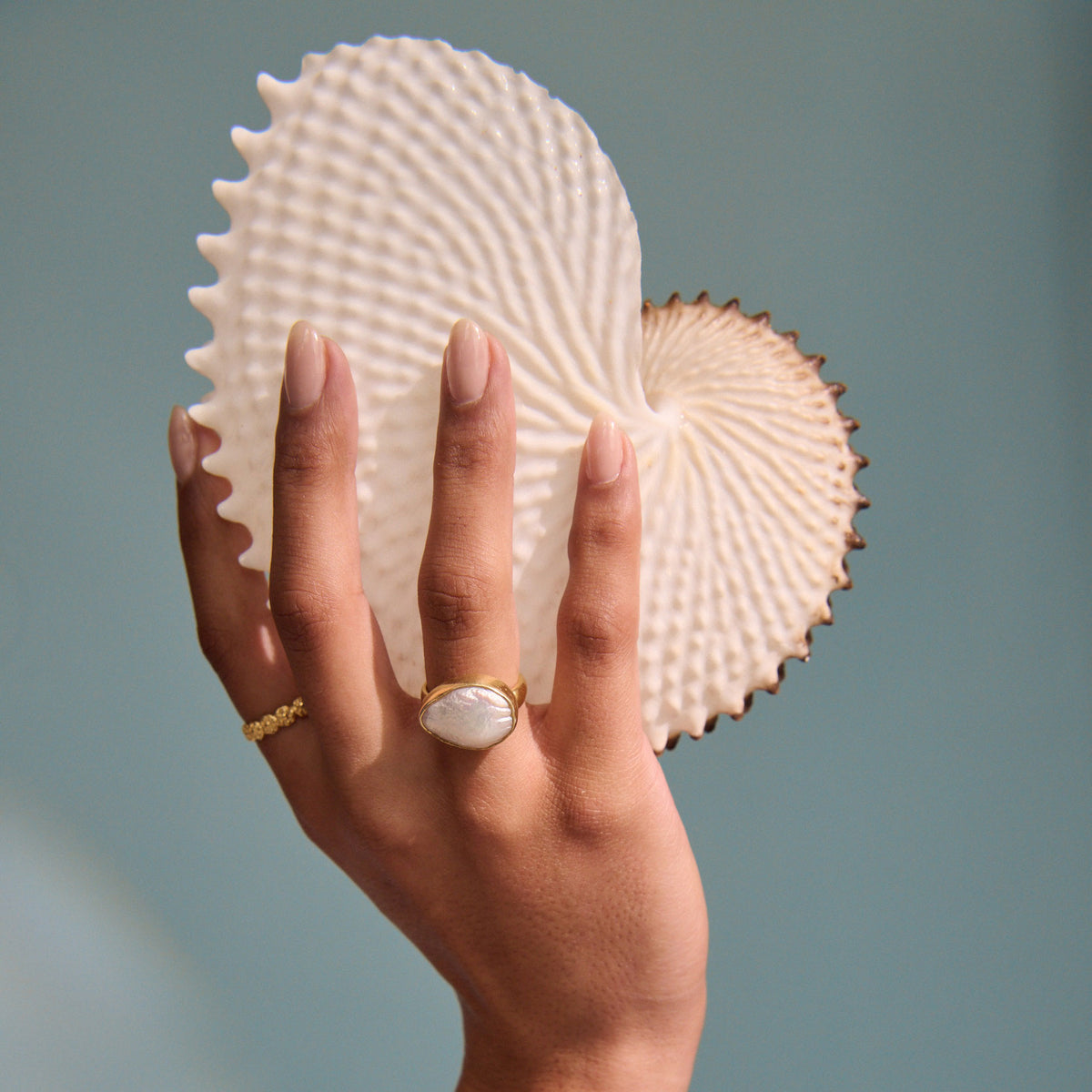 A hand with manicured nails holds two textured white seashells against a soft blue-gray background, wearing a gold ring with a white shell-shaped stone and a small gold band.